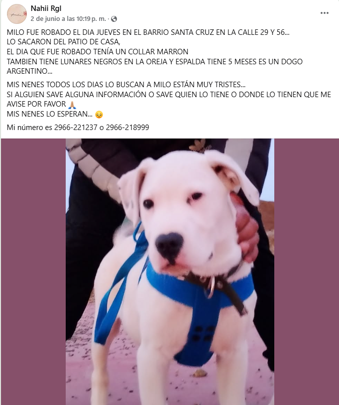 BUSQUEDAMILO.png