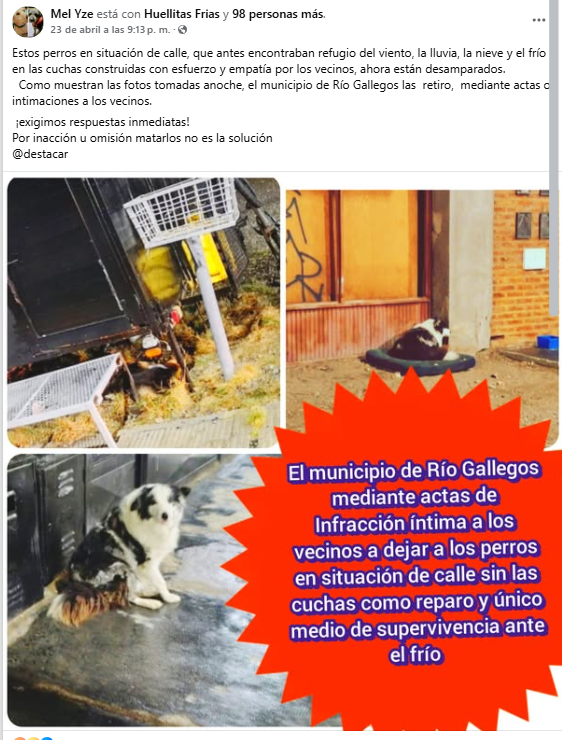 PERRITOSSINCUCHAS.png