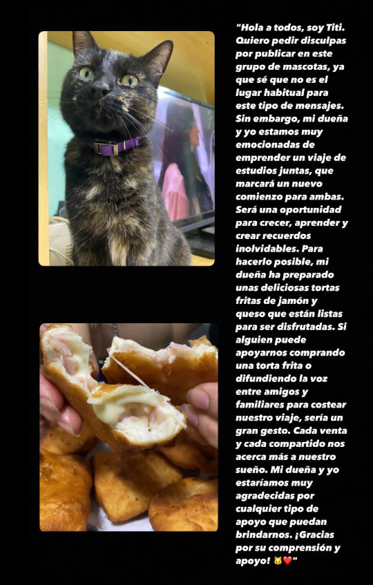 VENTATORTAFRITASGATITA.png